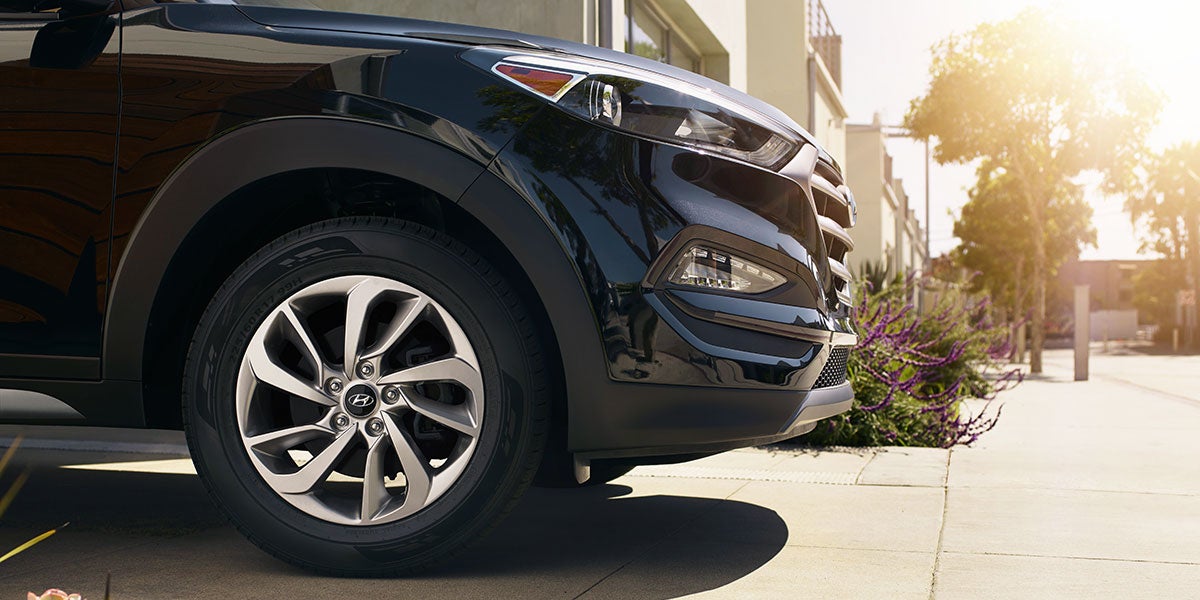 Wallace Genesis Brakes in Stuart FL