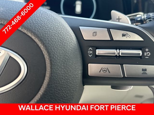 2024 Hyundai Palisade SEL 7 Passenger