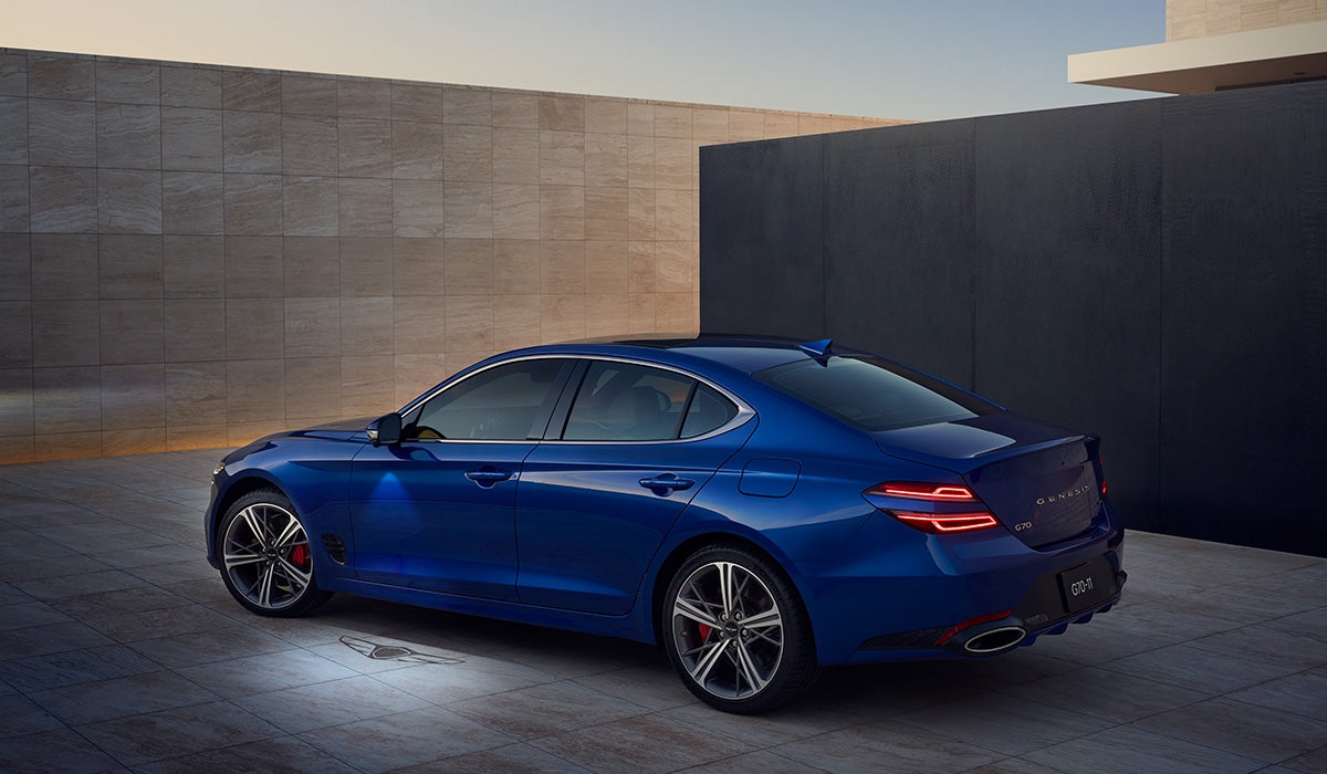 Wallace Genesis in Stuart FL