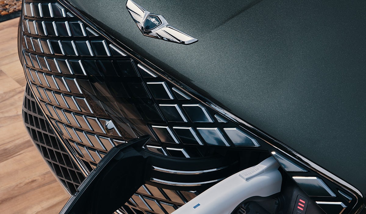 Wallace Genesis in Stuart FL